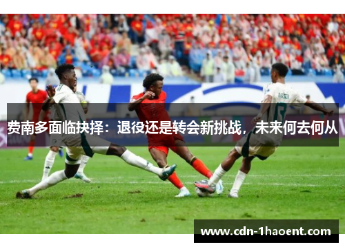 费南多面临抉择：退役还是转会新挑战，未来何去何从